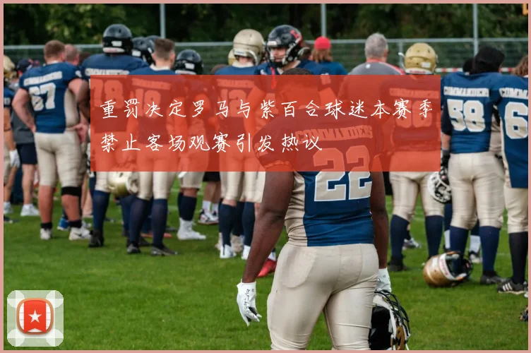 重罚决定罗马与紫百合球迷本赛季禁止客场观赛引发热议