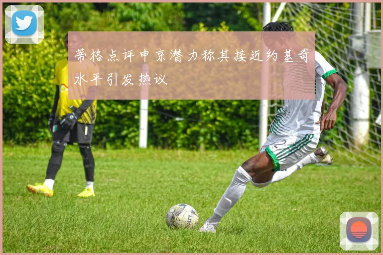 蒂格点评申京潜力称其接近约基奇水平引发热议